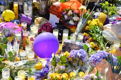 DSC_7119 (Large).JPG